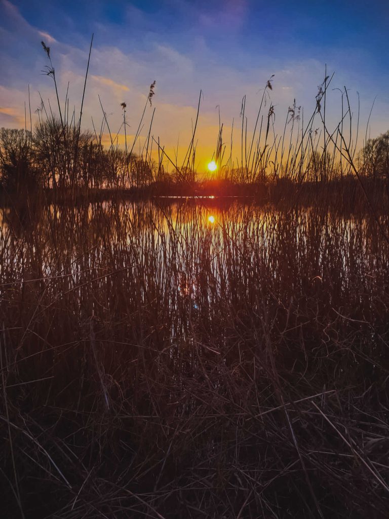 Angelsee Heiligenstedten