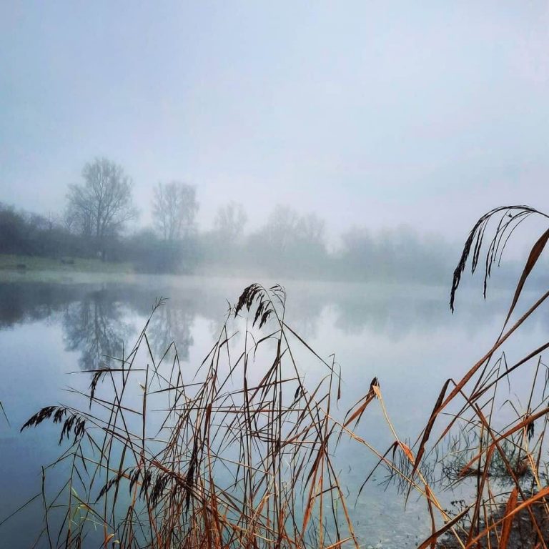 Angelsee Heiligenstedten